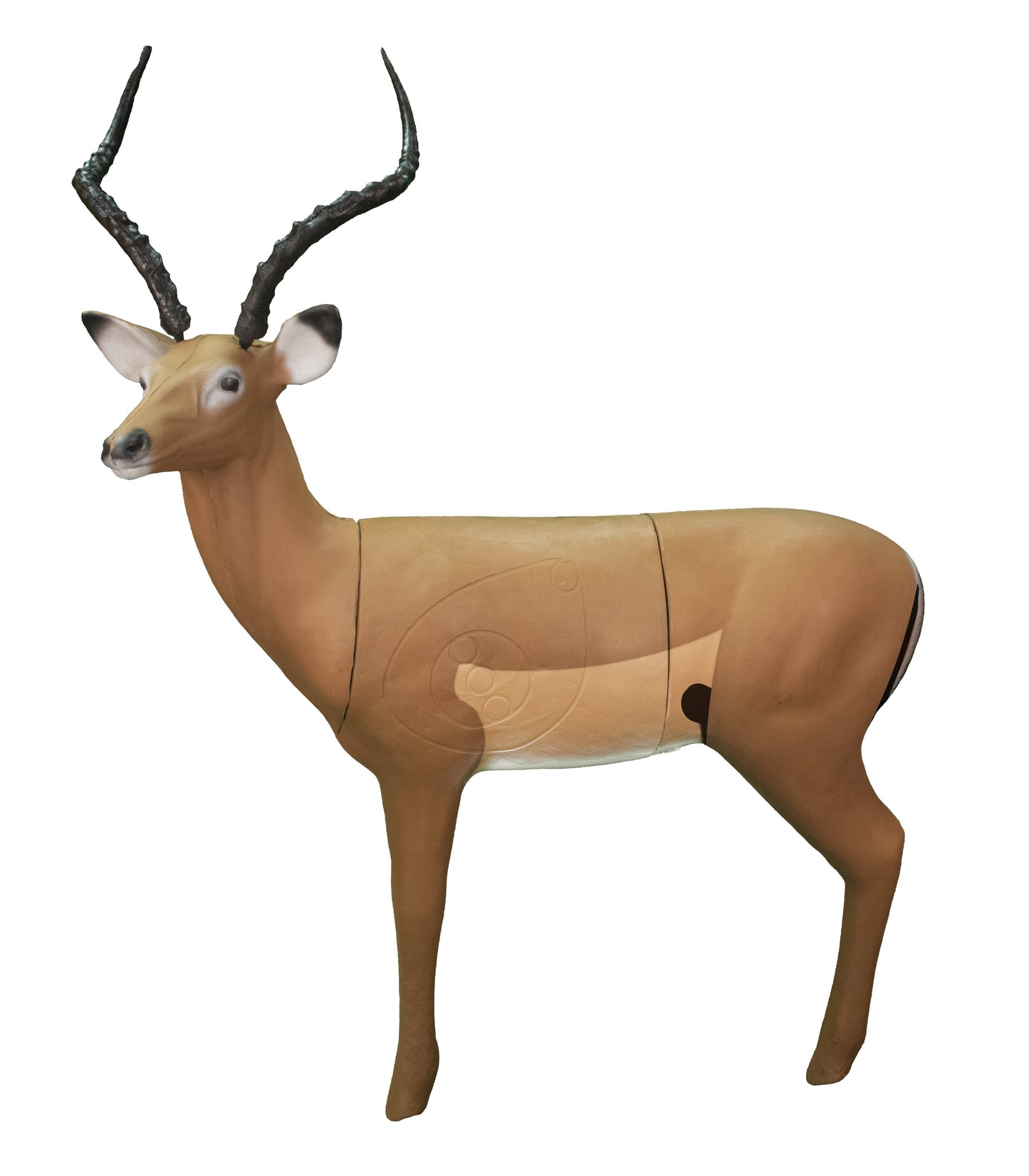 Big Shot Targets | Real Wild 3D African Impala Archery Target