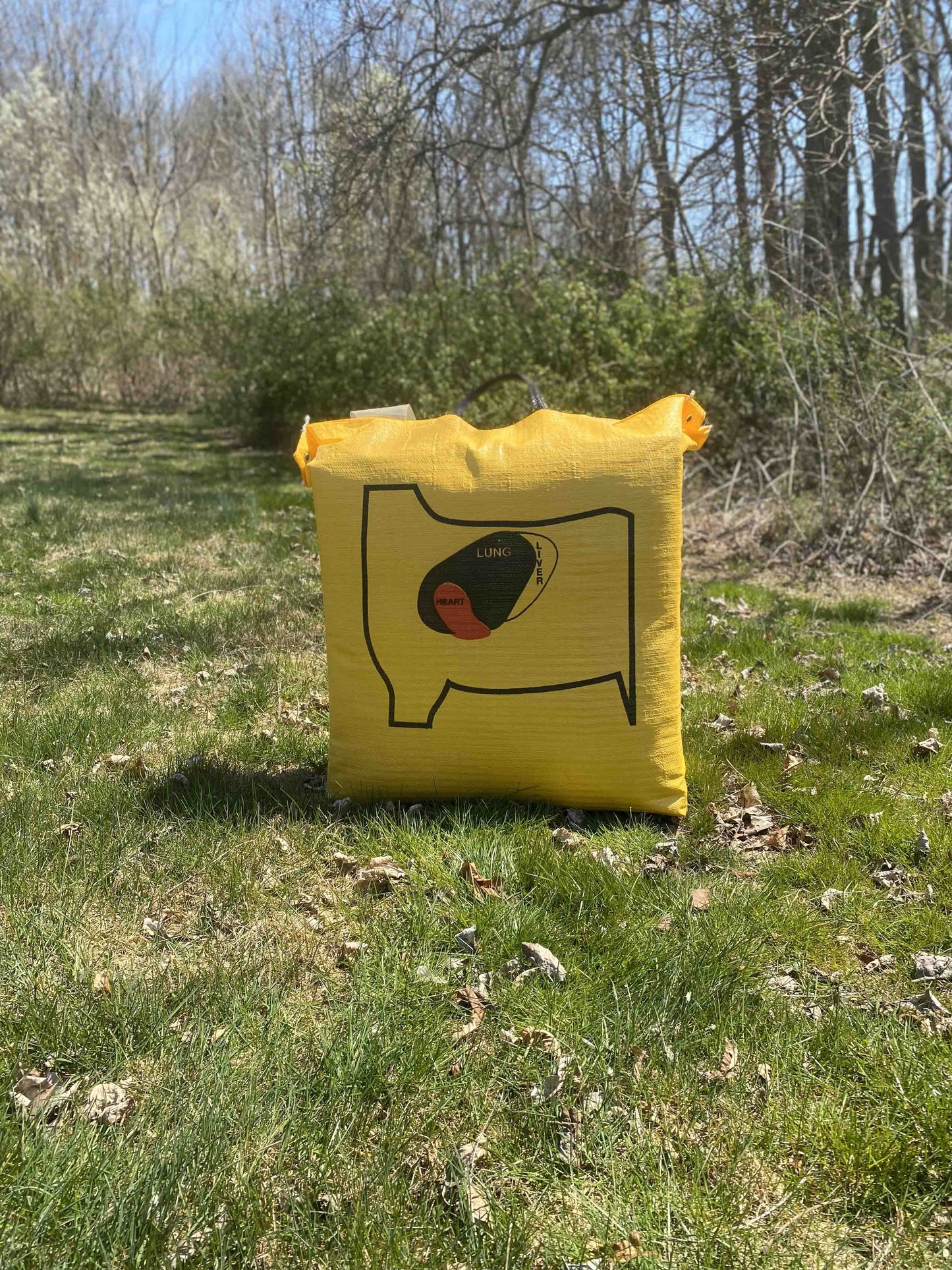 Big Shot Targets | Ballistic 350 Archery Bag Target