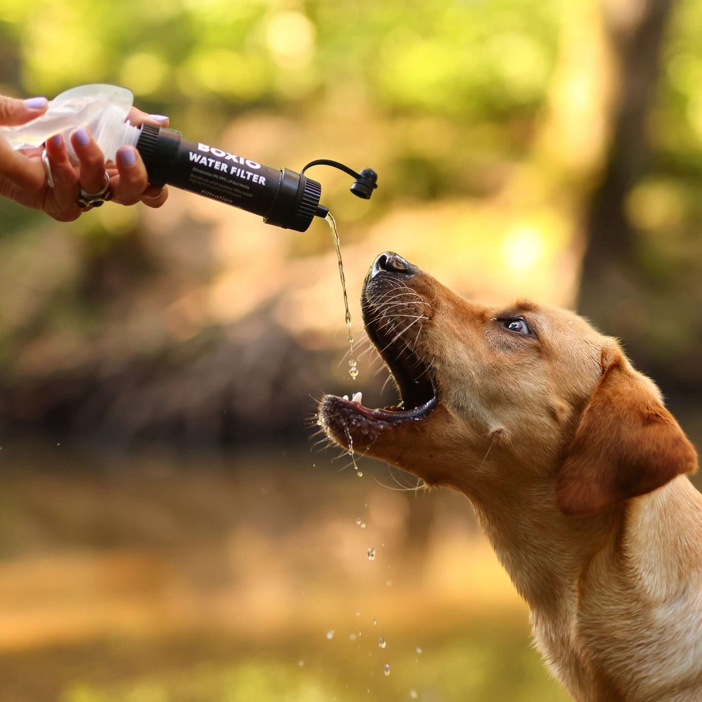 BOXIO | WATER FILTER SYSTEM I Water Filter with 1.32 gal Water Bag