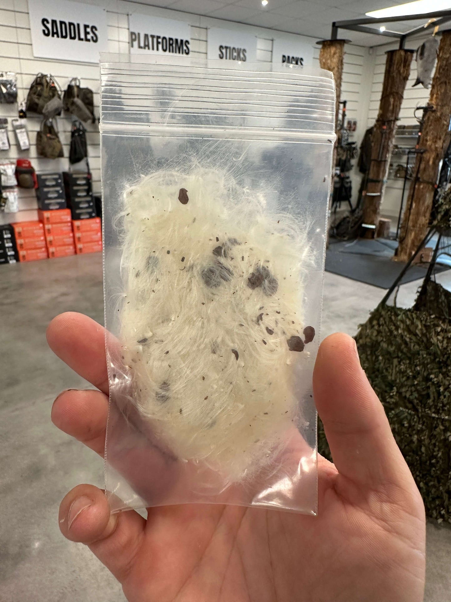 Milkweed for Hunting