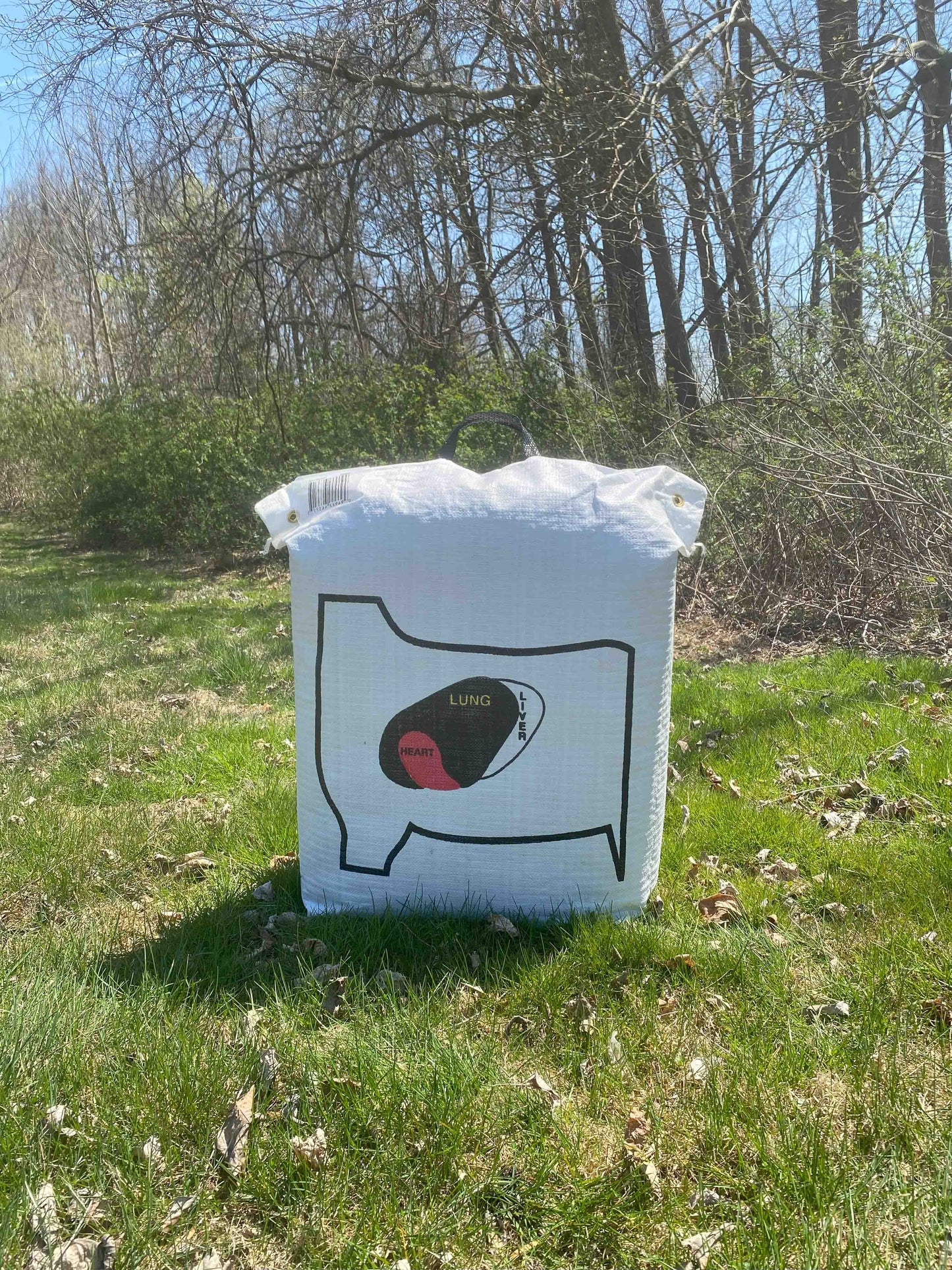 Big Shot Targets | Trophy Whitetail Bag Archery Target