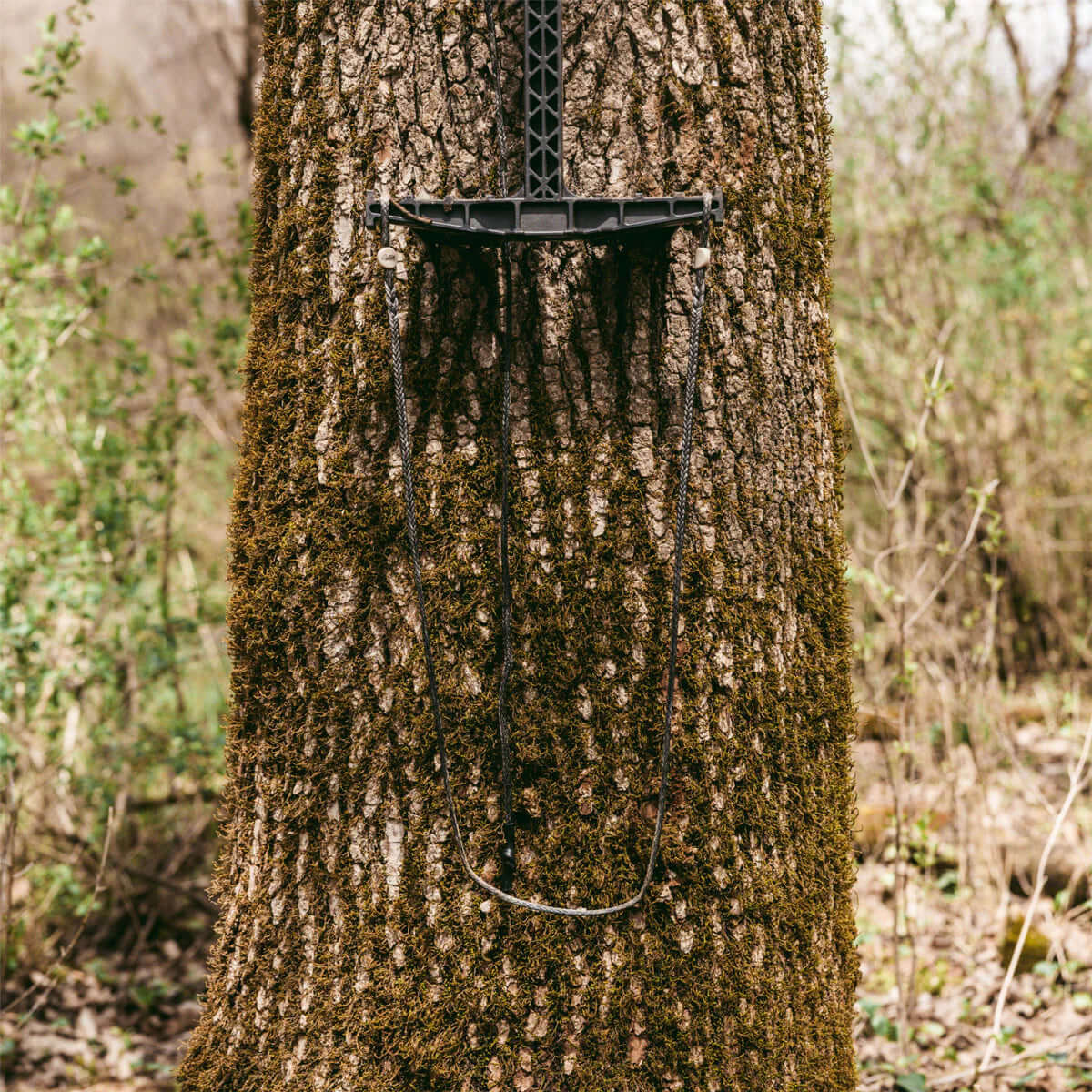 Latitude Outdoors | Single Step Aider (IN STOCK!)