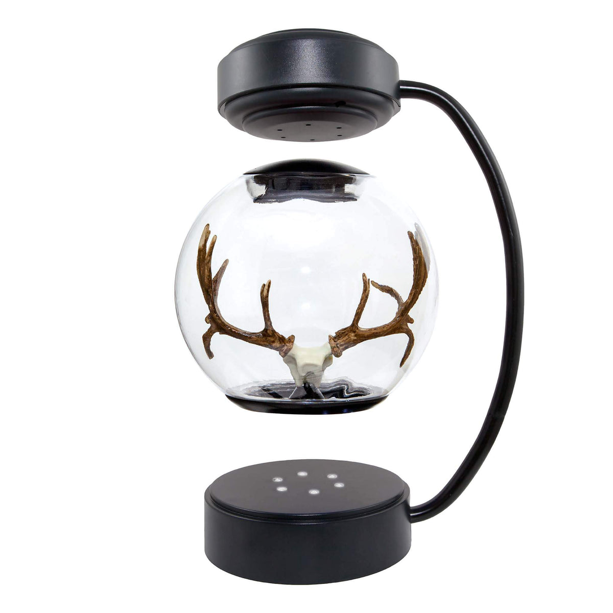 Floating Deer Antlers