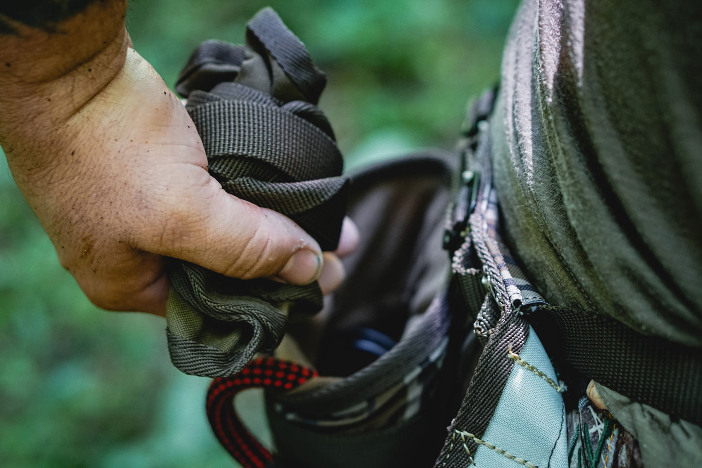 Trophyline | Nimbus Back Band