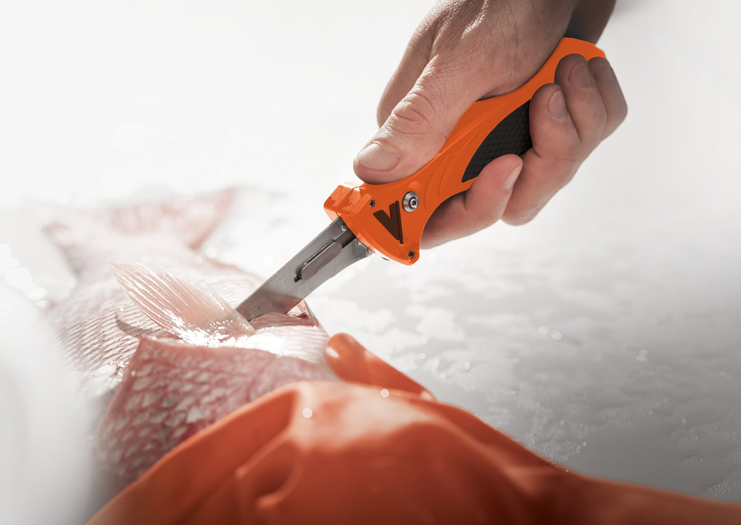 Havalon Knives | Havalon Talon Hunt Replaceable Blade Knife Kit