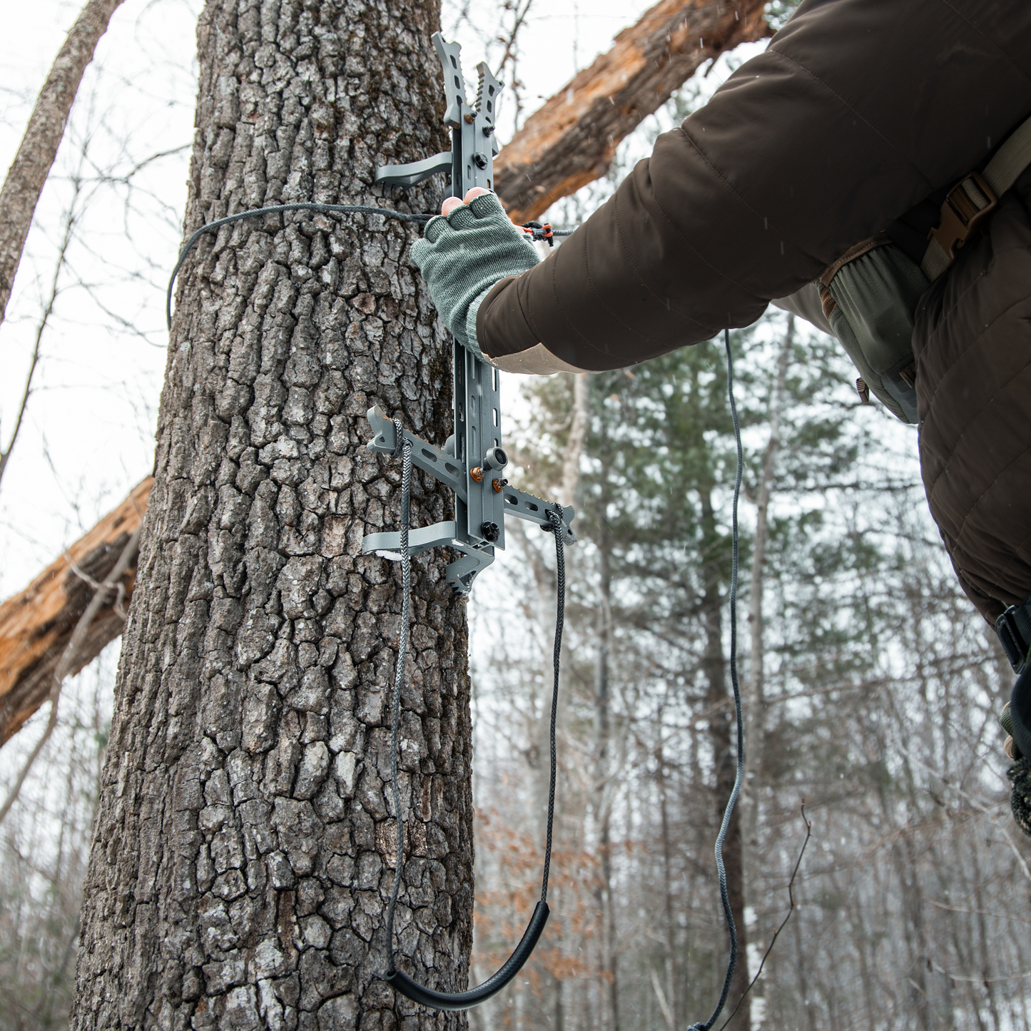 Hang Free | 1/8 Single Step Aider