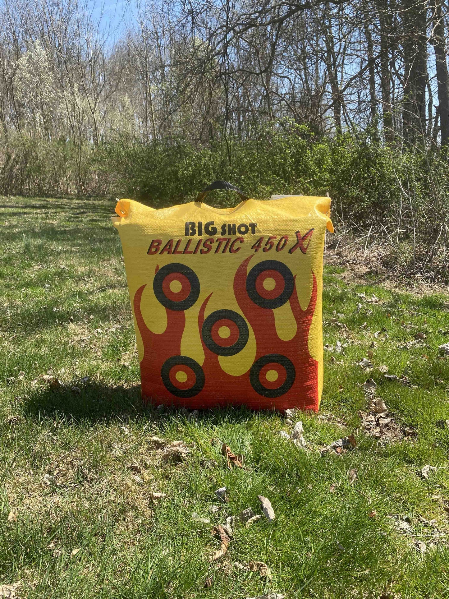 Big Shot Targets | Ballistic 450X Bag Target