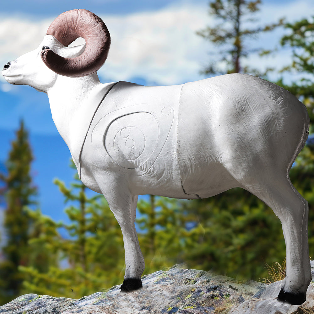Big Shot Targets | Real Wild 3D Dall Sheep