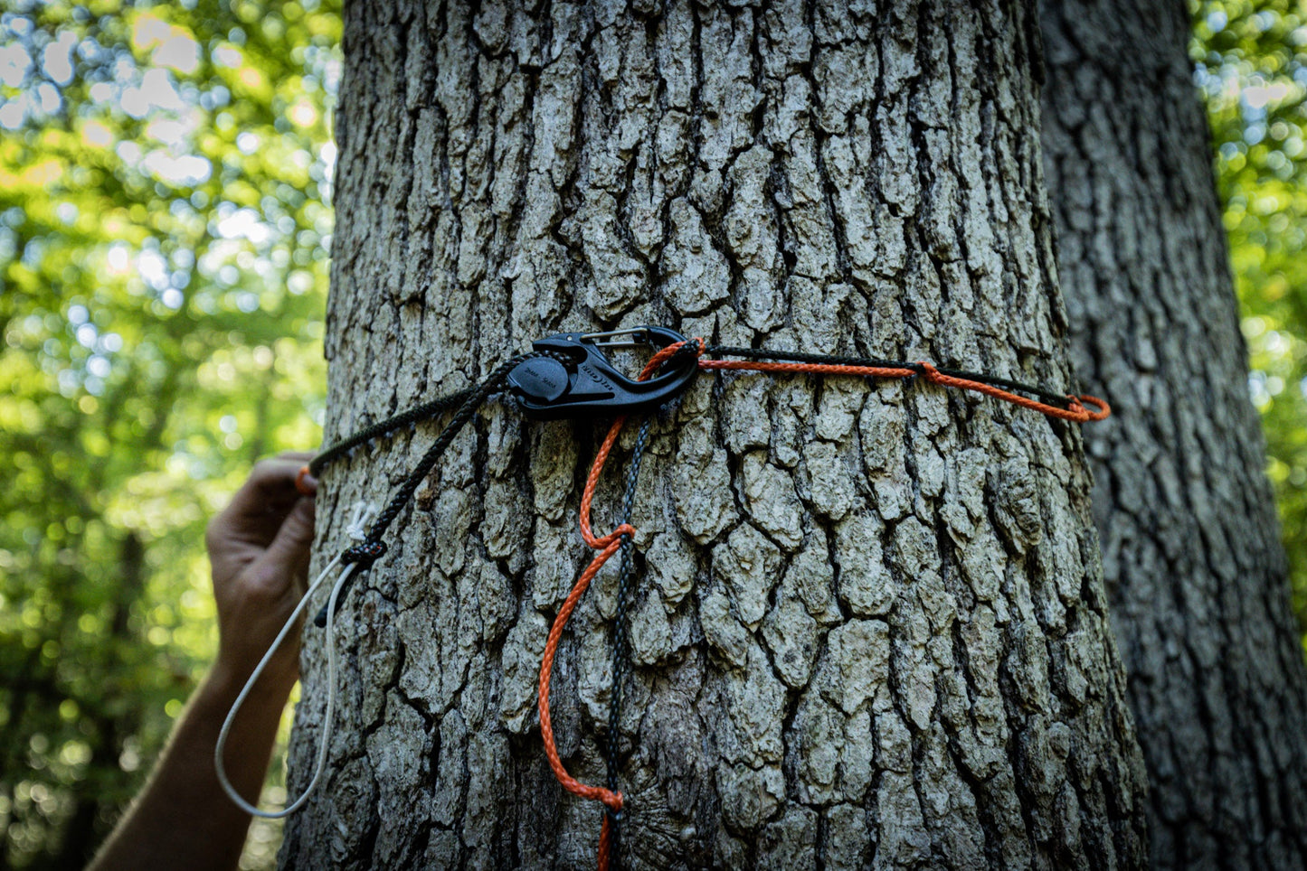 The Amsteel Guy | Amsteel Daisy Chain Gear Hanger