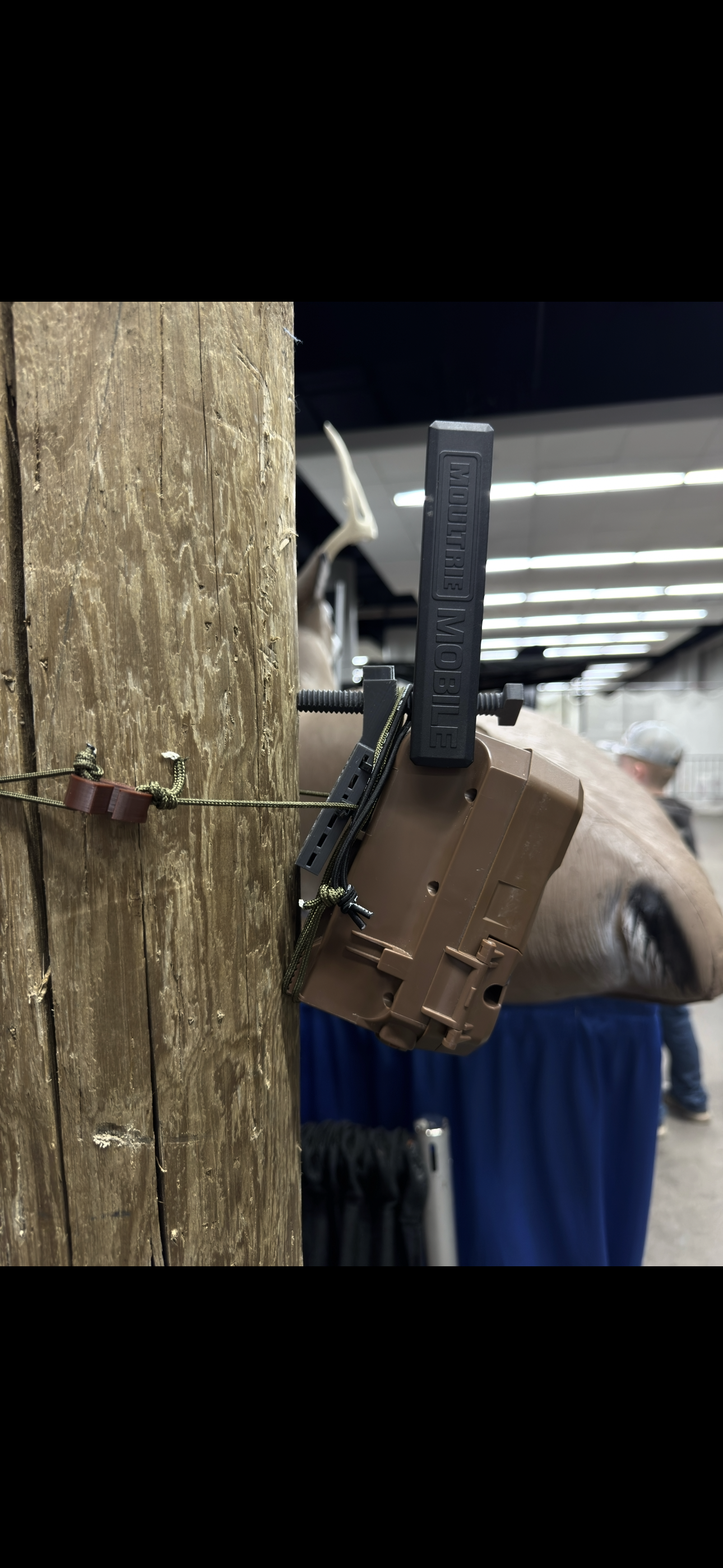 The Amsteel Guy | Trail Cam Mount
