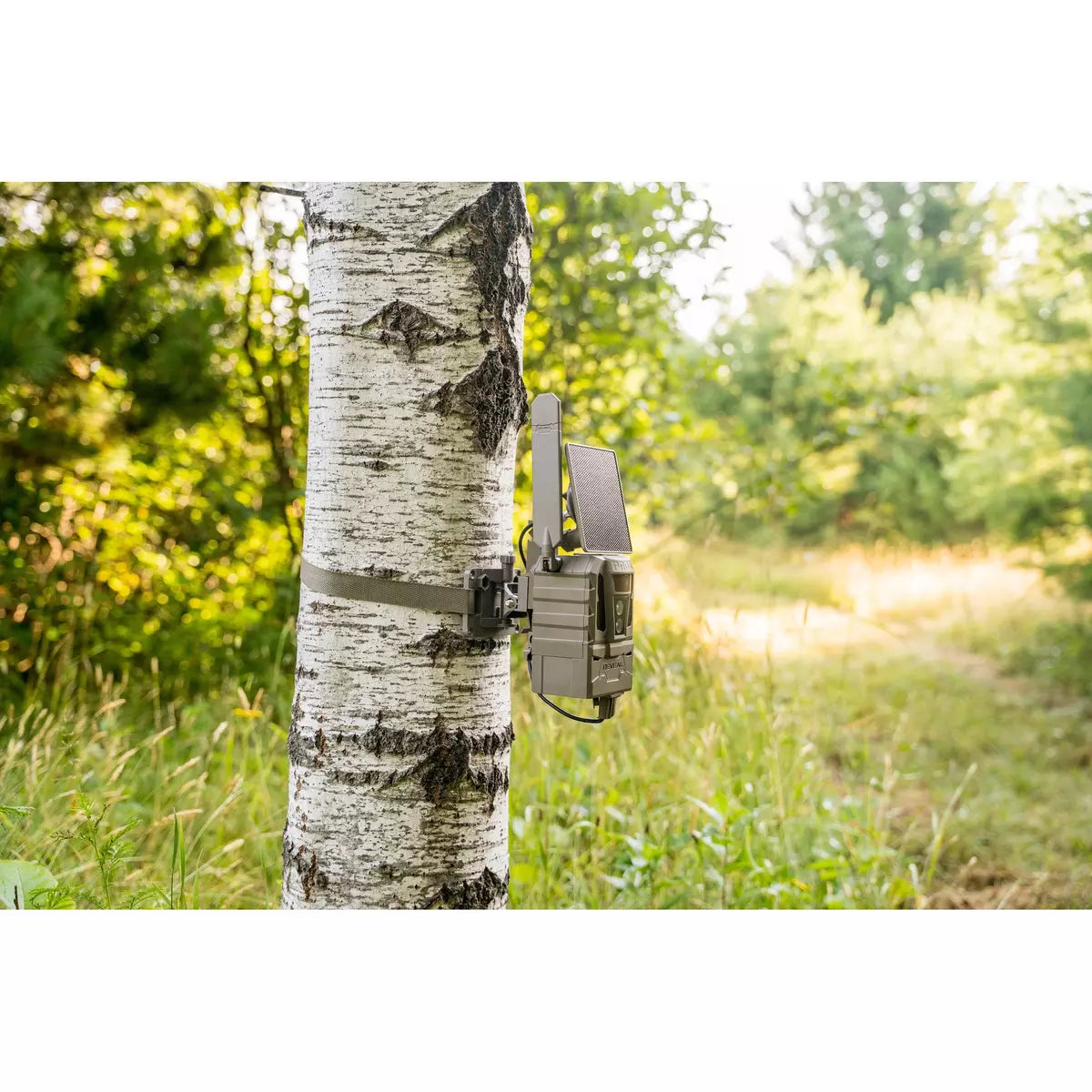 REVEAL PRO 4.0 SOLAR CELLULAR TRAIL CAMERA