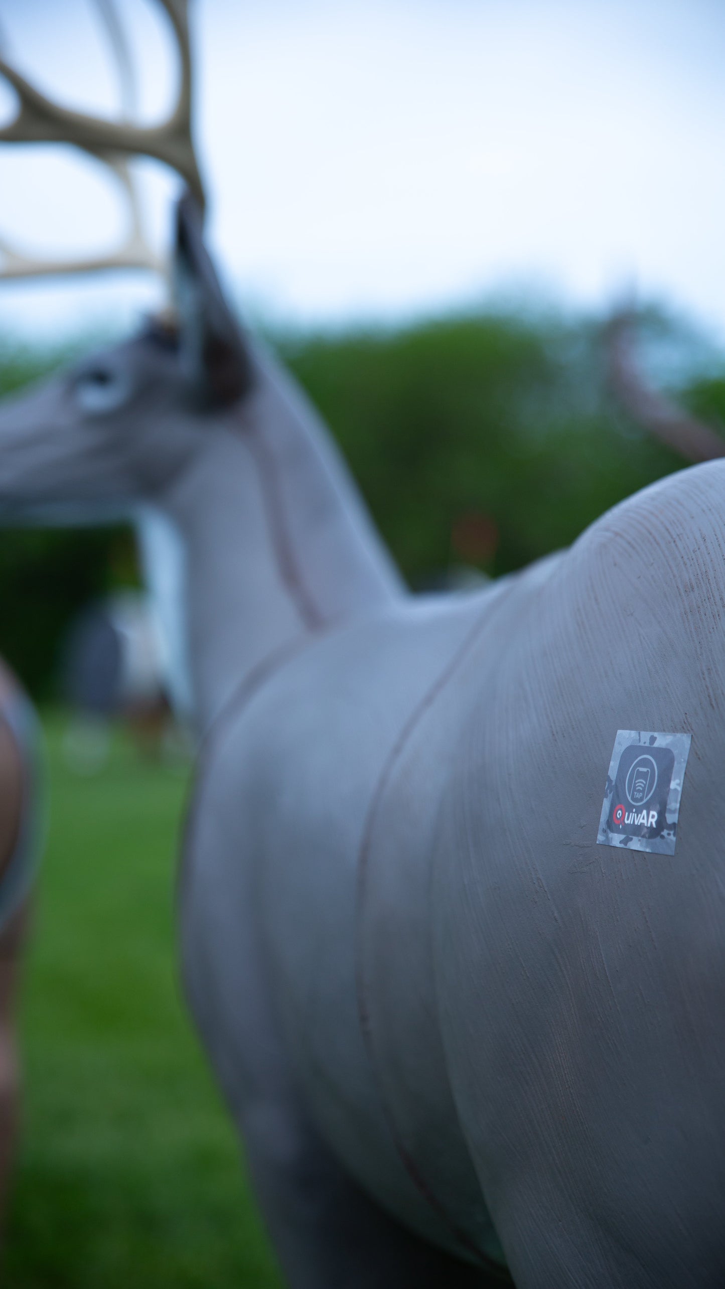 Big Shot Targets | QuivAR Enabled Mule Deer