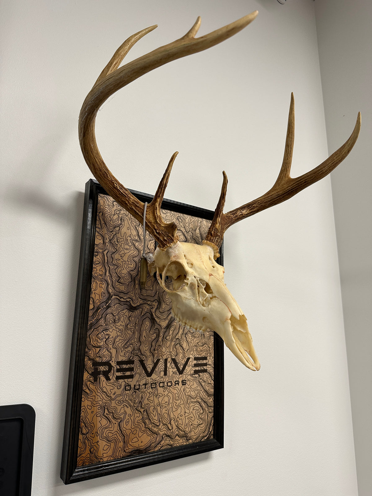 818 Topo Mounts | Custom Topographic European Mount Plaques