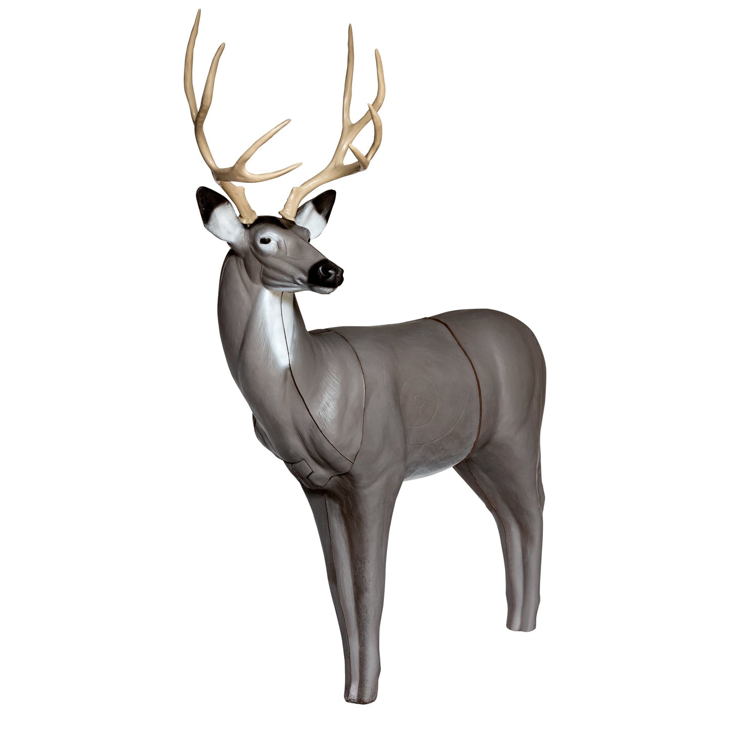 Big Shot Targets | QuivAR Enabled Mule Deer