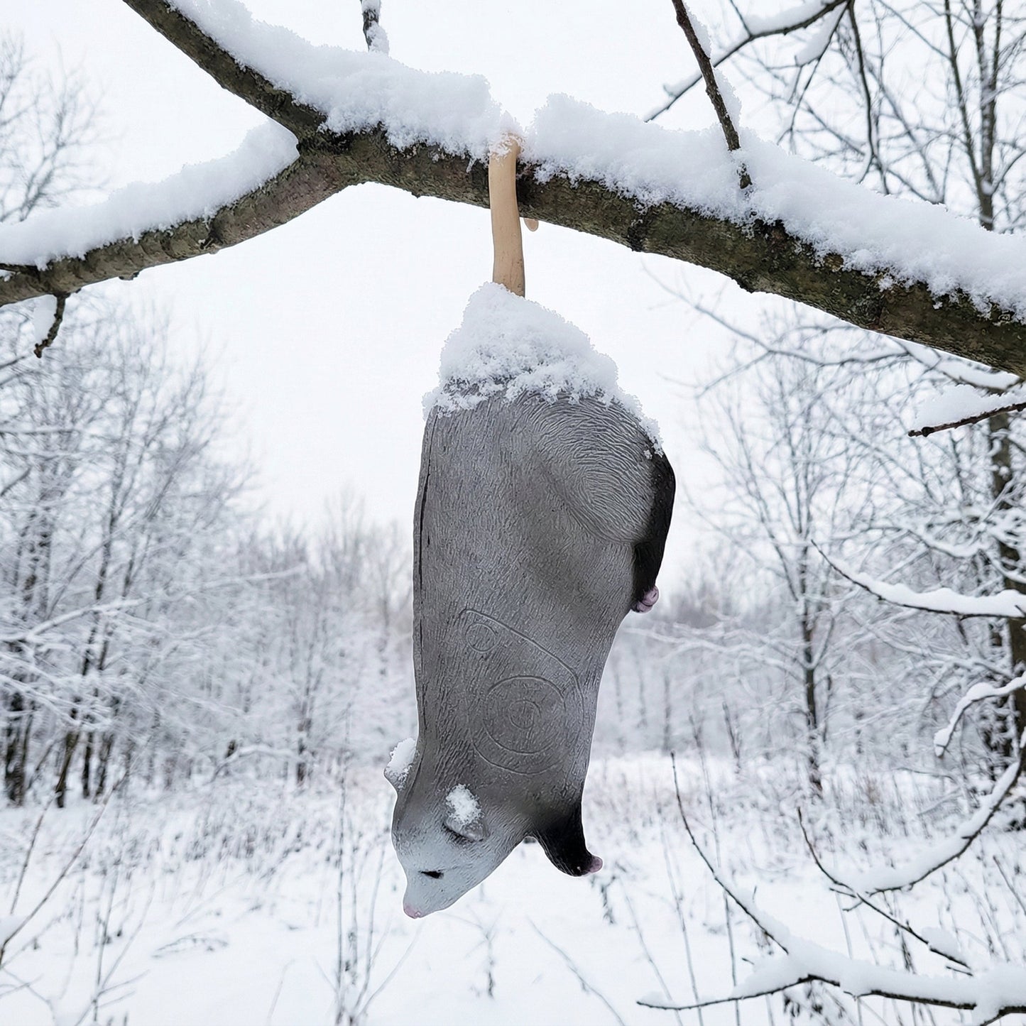 Big Shot Targets | Real Wild 3D Hanging Opossum Archery Target