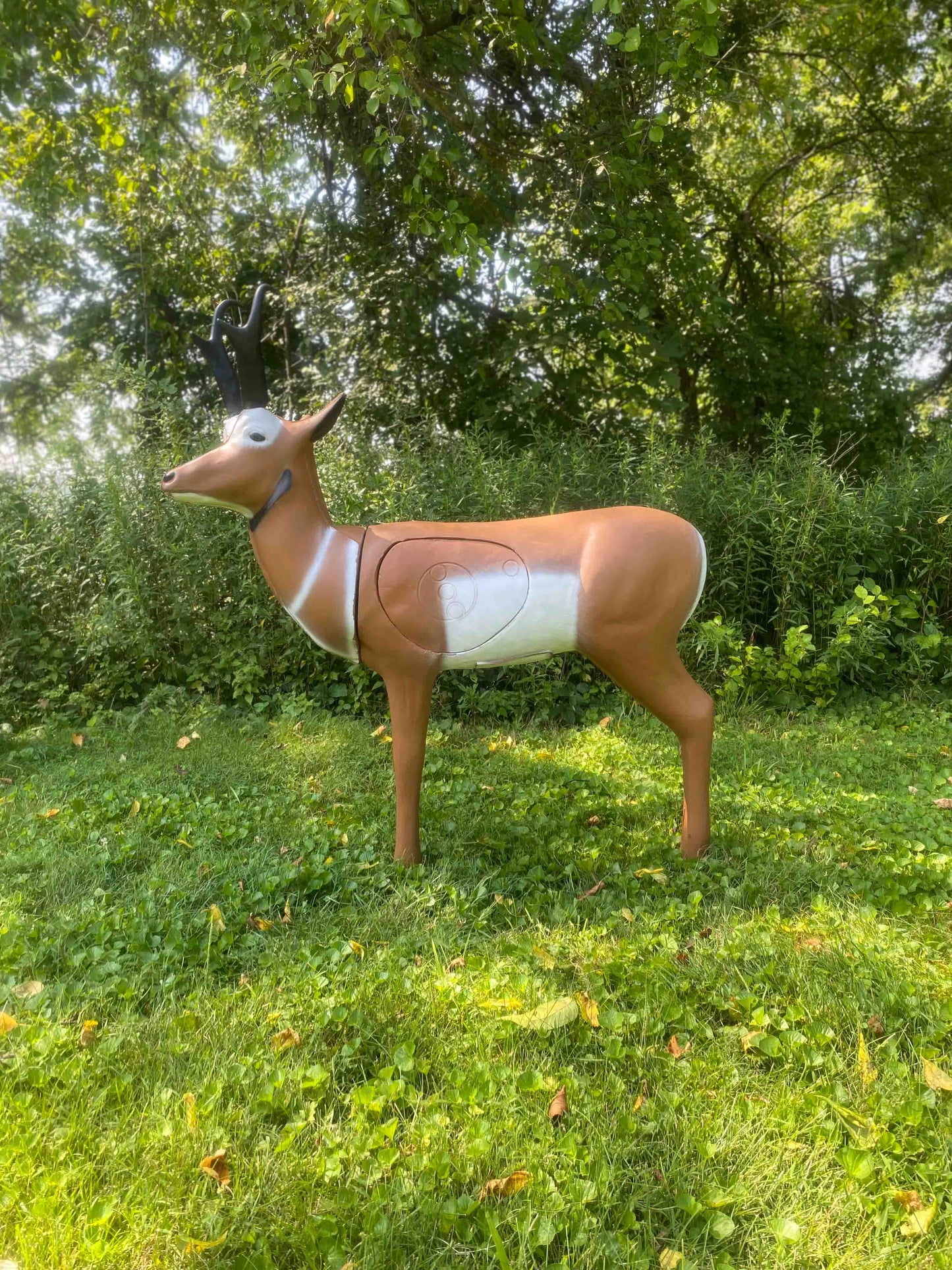 Big Shot Targets | Real Wild 3D Pronghorn Antelope Archery Target with EZ Pull Foam