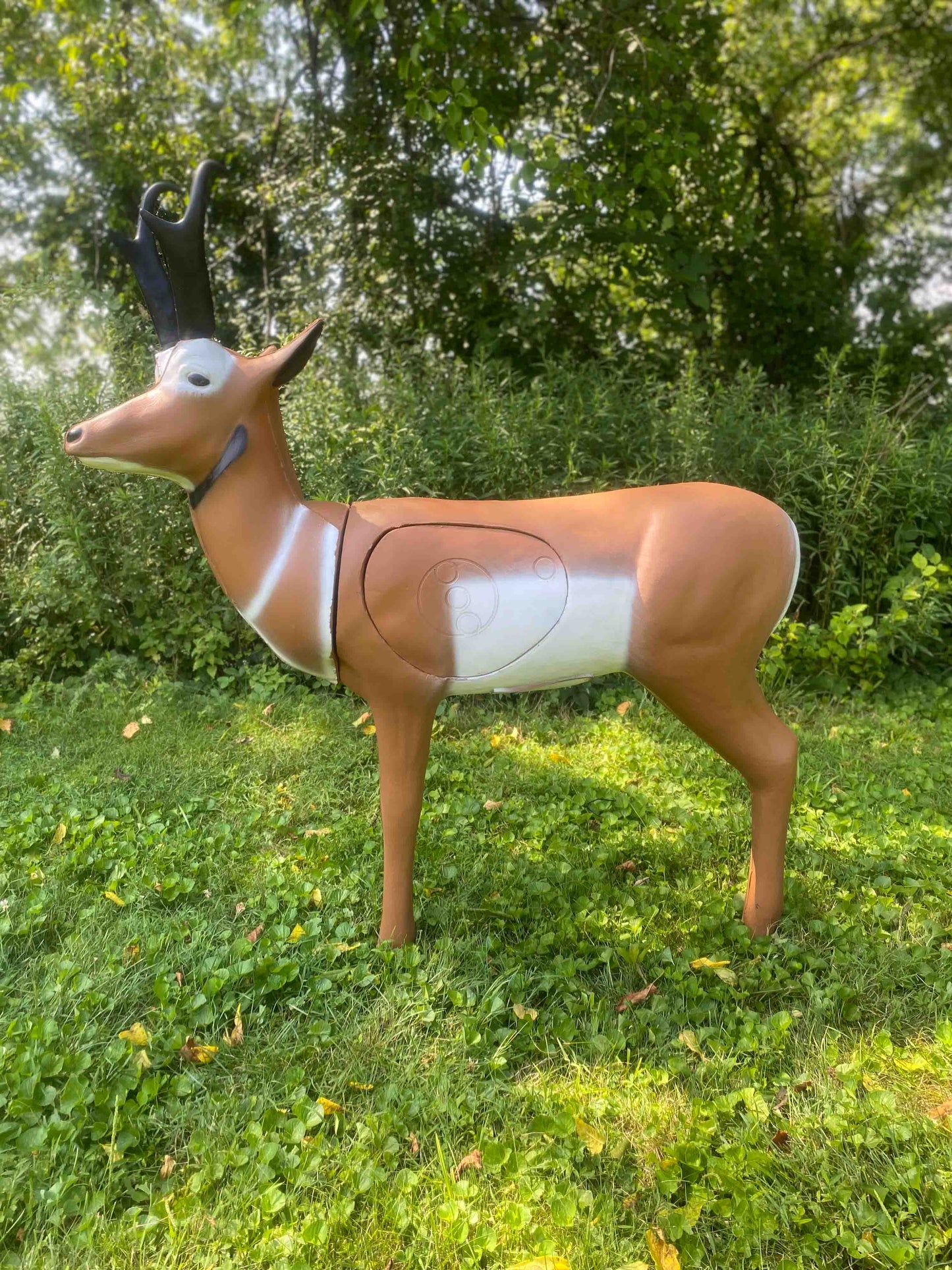Big Shot Targets | Real Wild 3D Pronghorn Antelope Archery Target with EZ Pull Foam