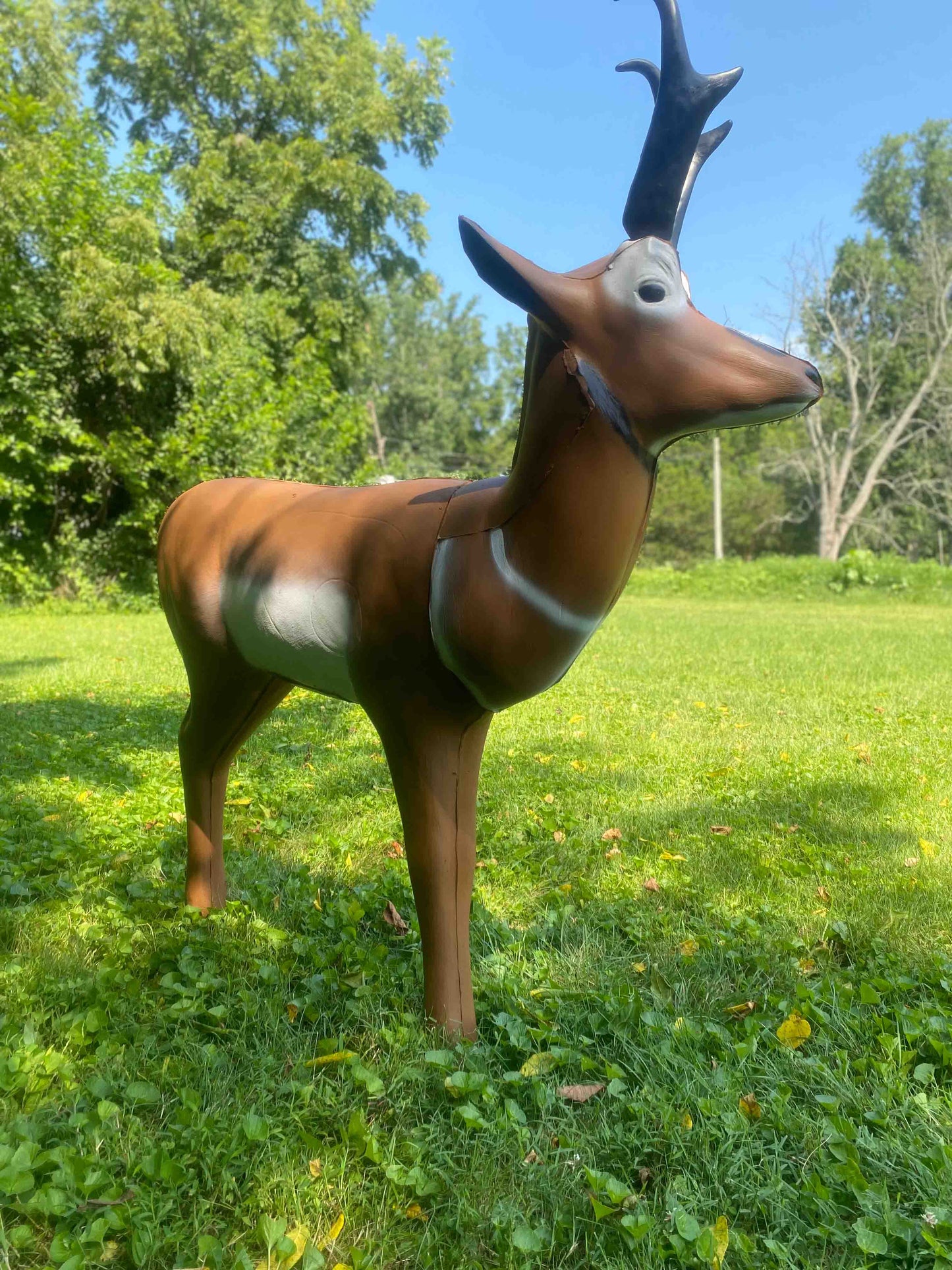 Big Shot Targets | Real Wild 3D Pronghorn Antelope Archery Target with EZ Pull Foam