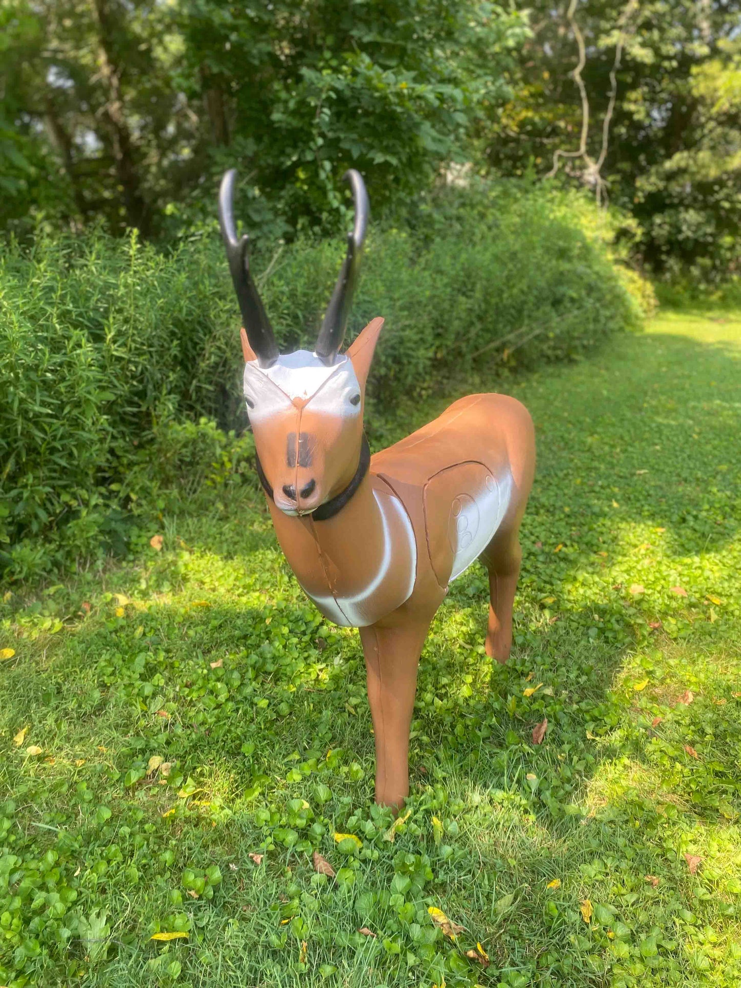 Big Shot Targets | Real Wild 3D Pronghorn Antelope Archery Target with EZ Pull Foam
