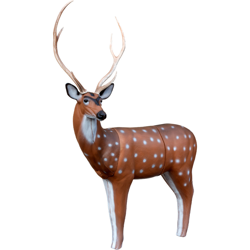 Big Shot Targets | QuivAR Enabled Axis Deer