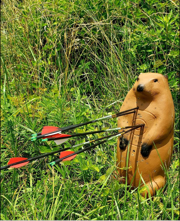 Big Shot Targets | Real Wild 3D Standing Groundhog Archery Target with EZ Pull Foam