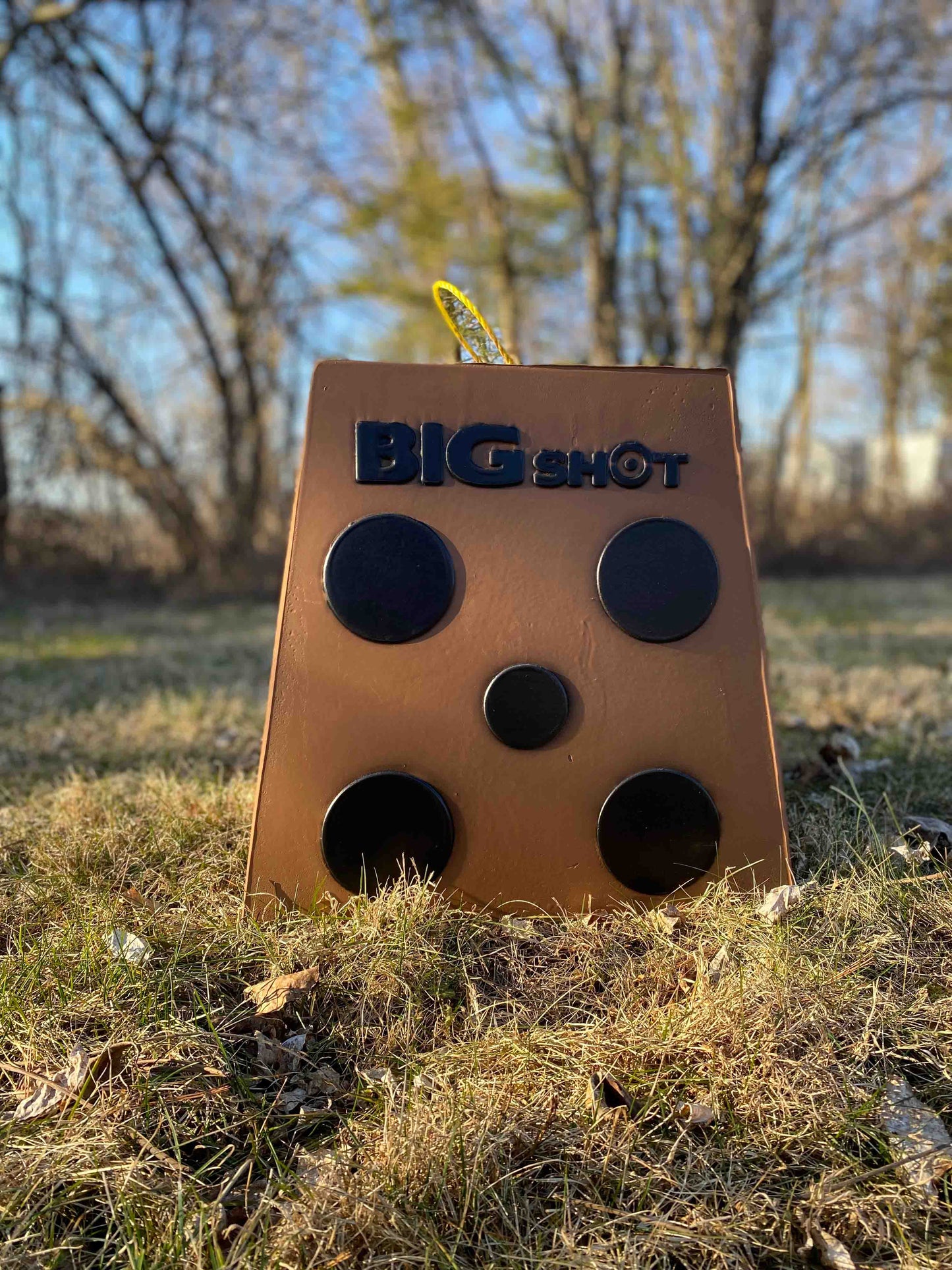 Big Shot Targets | Pro Hunter 16 Archery Target