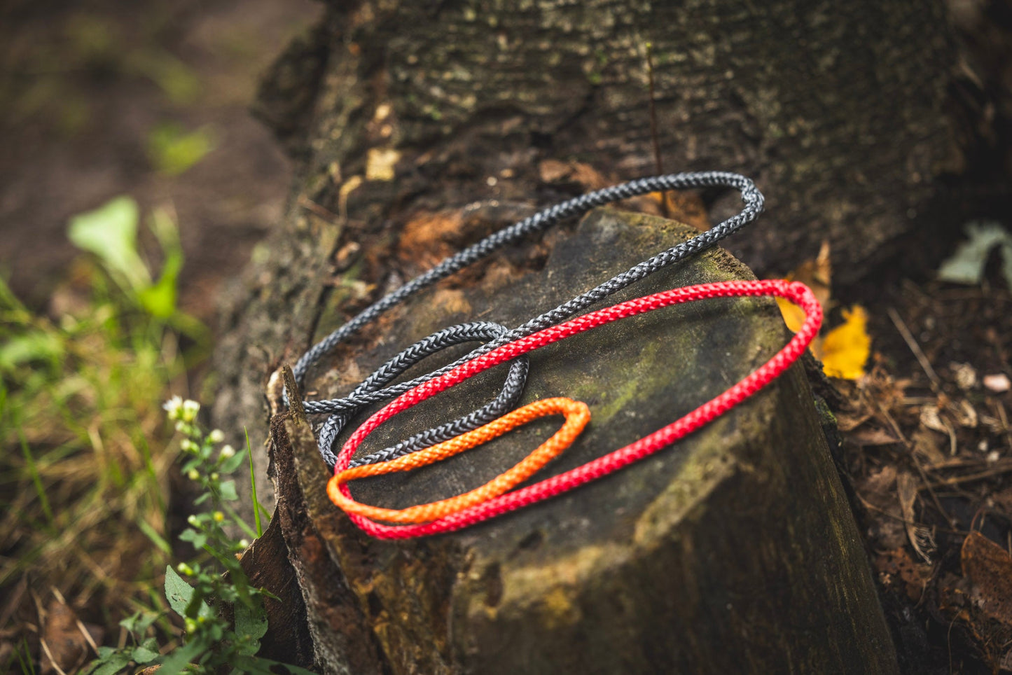 The Amsteel Guy | Amsteel Continuous Loops