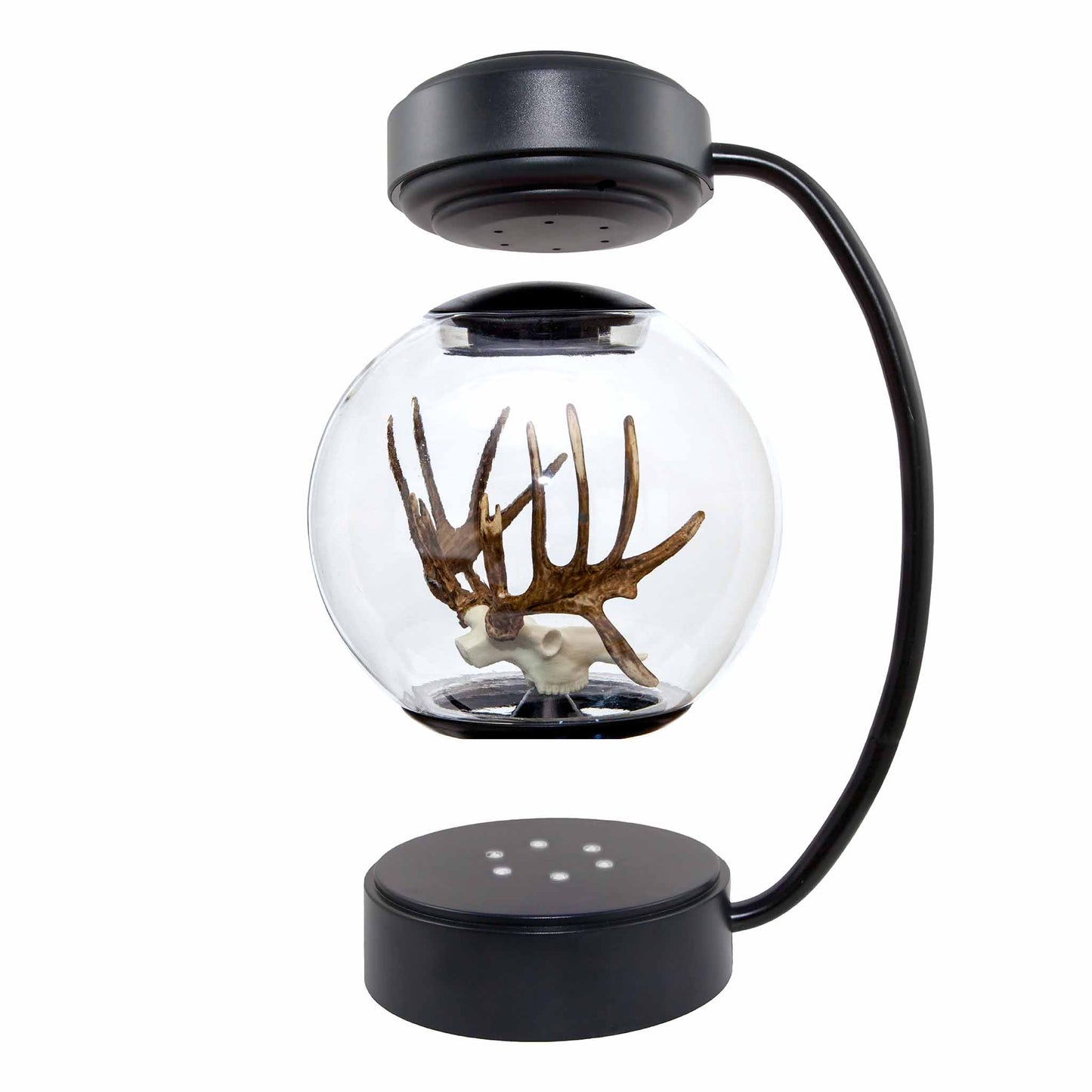 Floating Deer Antlers