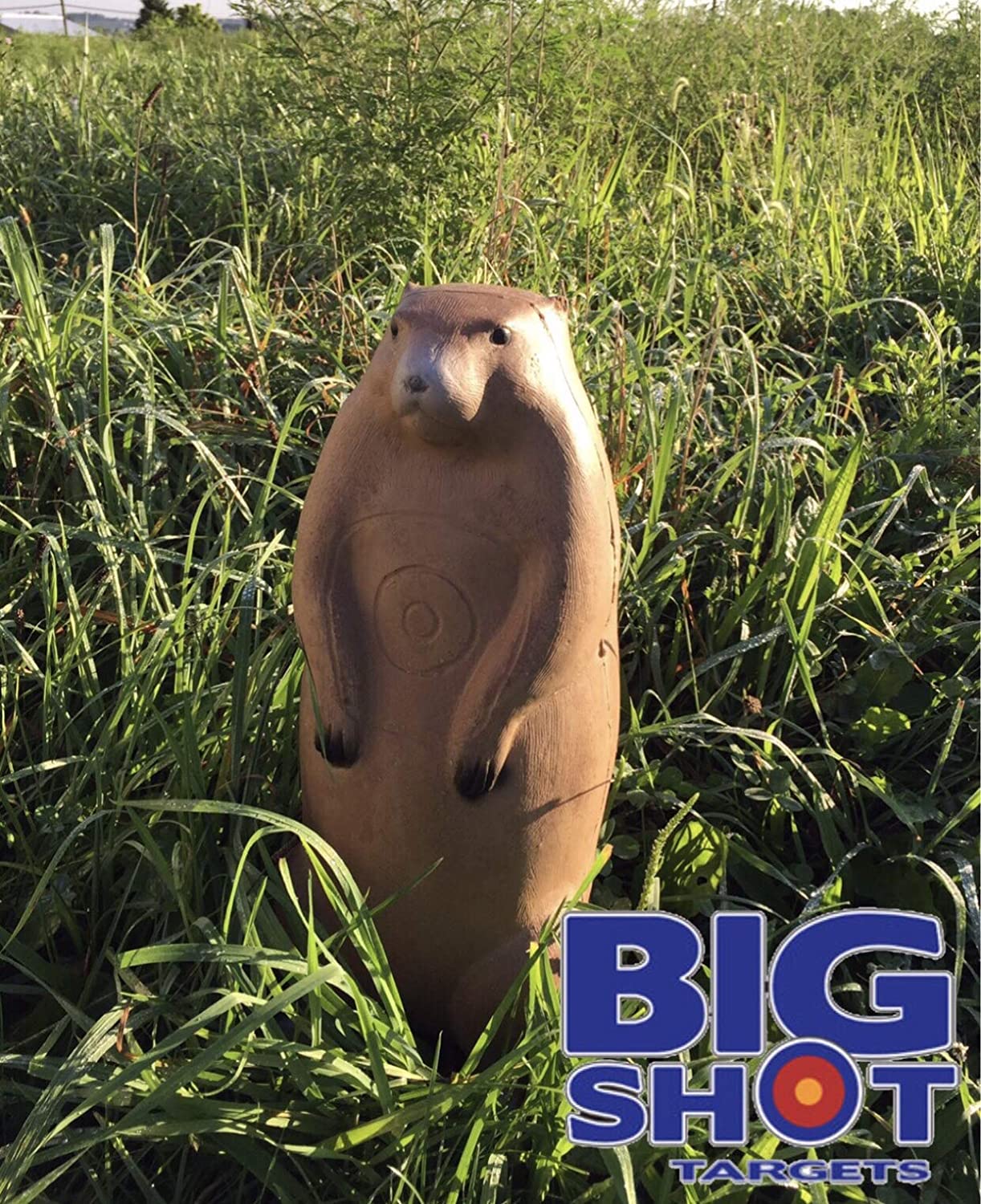Big Shot Targets | Pro Hunter Raccoon And Groundhog Combo Pack Archery Targets