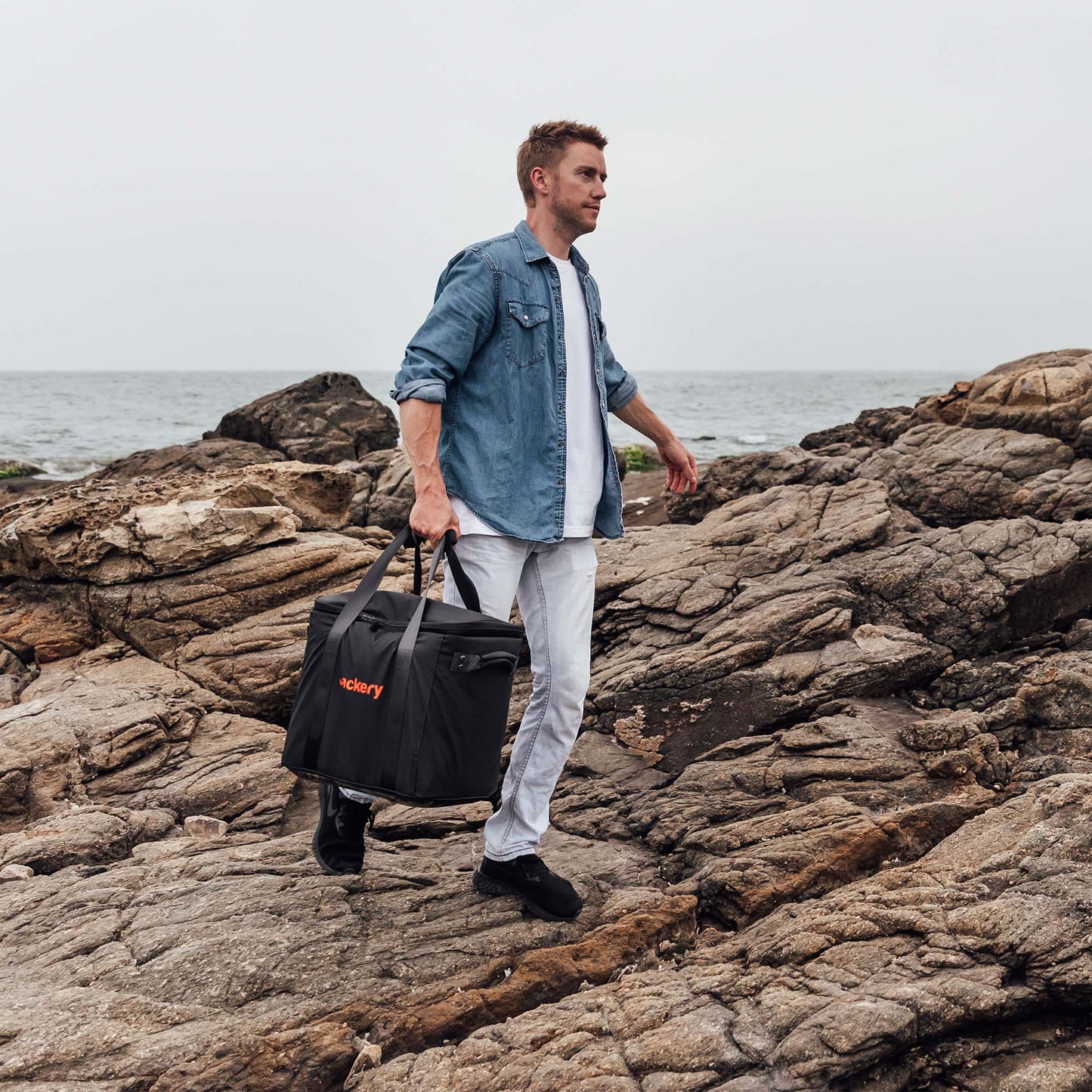 Jackery | Upgraded Carrying Case (L)