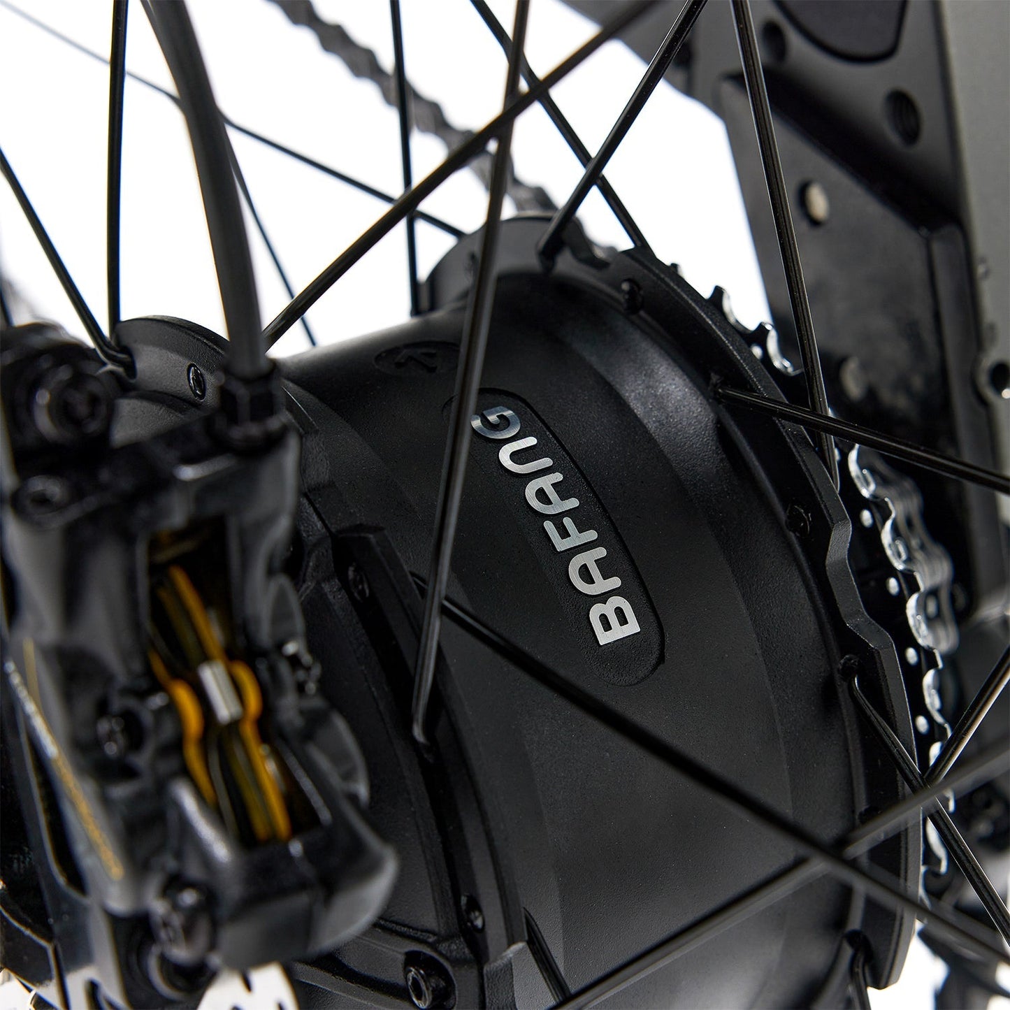 Bakcou | Kodiak AWD SD