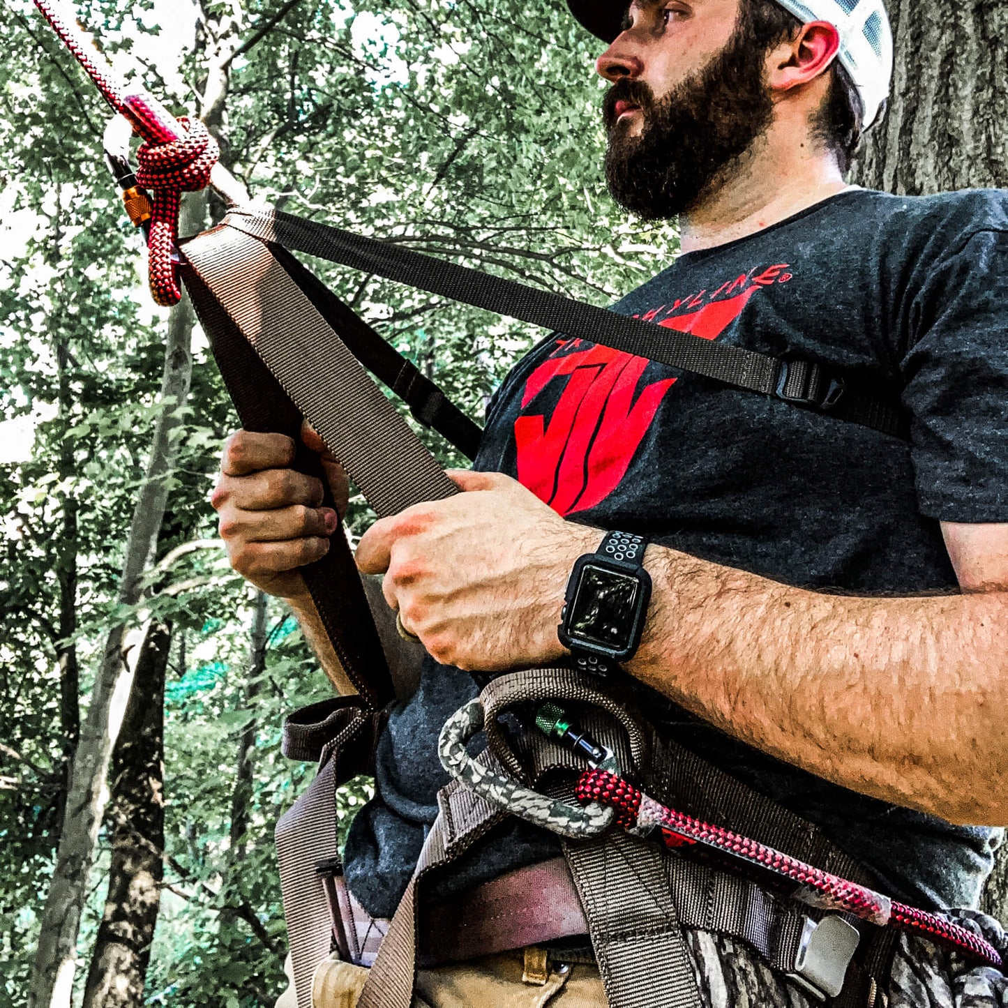 Trophyline | Back Band