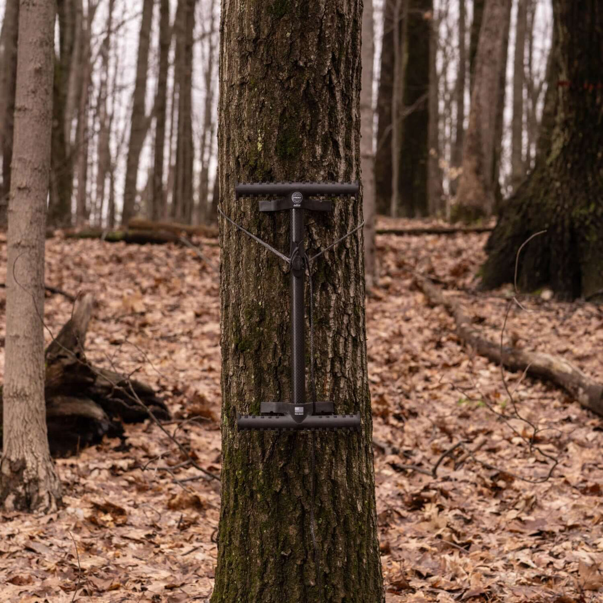 Latitude Outdoors | Carbon Synergy Climbing Sticks (In Stock!)